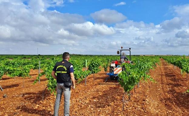 Denunciado por tener a ocho jornaleros sin darles de alta