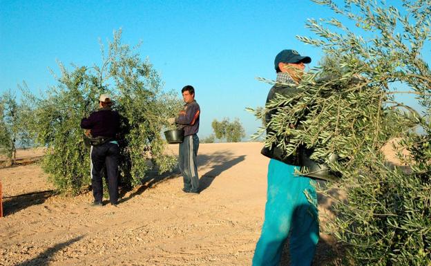 La afiliación de trabajadores extranjeros cae un 10,7% en Extremadura