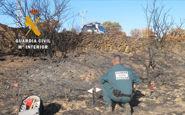 Investigado por originar un incendio forestal en Cuacos de Yuste al quemar restos de cerezos