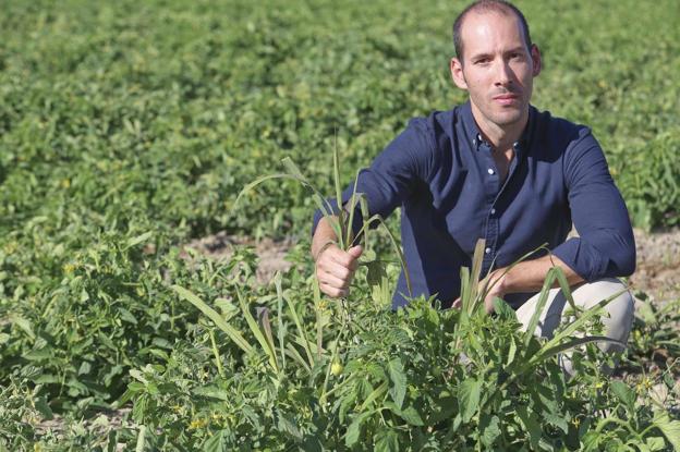 Agricultura de precisión contra las malas hierbas