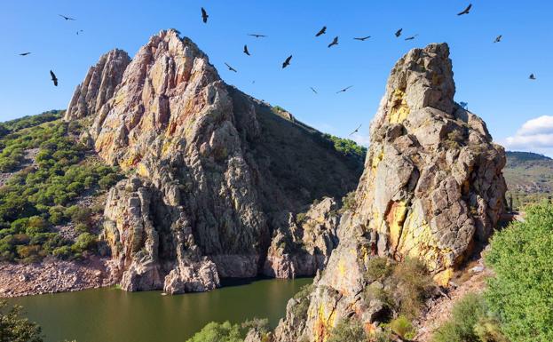 Buitres extremeños para consolidar la población de aves en Bulgaria