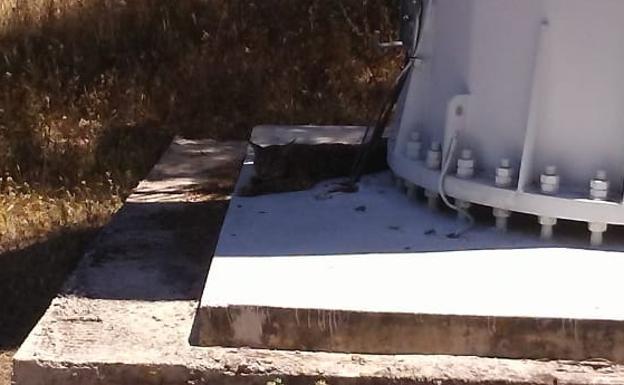 Detectan la presencia de un lince ibérico en la presa de Los Molinos de Hornachos