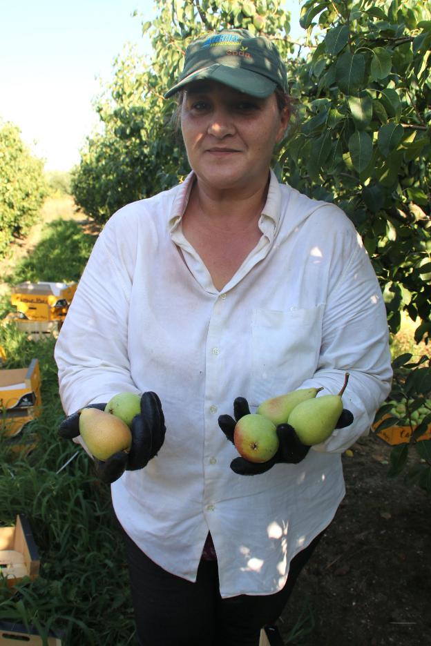 «En Rumanía era contable en un hospital y aquí cojo fruta»