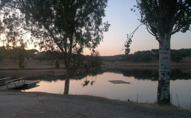 Aparece un hombre muerto en el pantano de Oliva de la Frontera