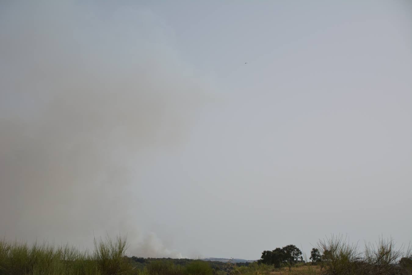 Las nubes de los incendios sobre Fregenal