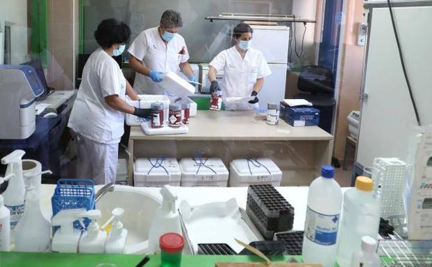 Salud Pública notifica otros 16 casos de covid en la región