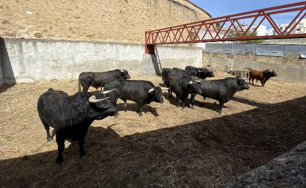 Los toros en directo regresan a Movistar con el mano a mano de Plasencia