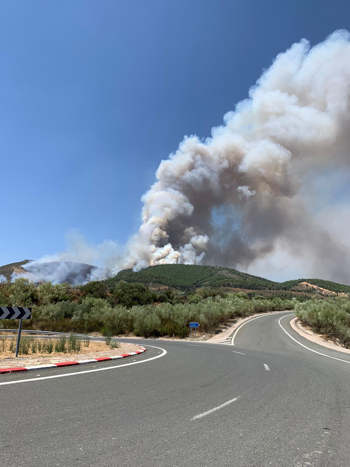 Imágenes del incendio forestal registrado en Cañaveral