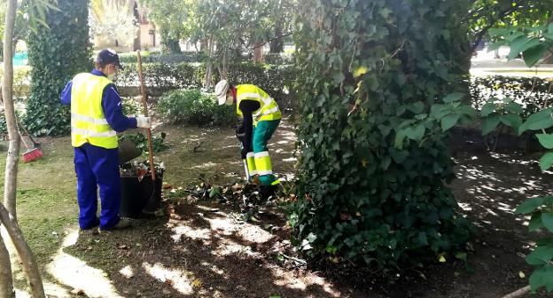 Veinte desempleados reforzarán distintos servicios municipales en Navalmoral de la Mata