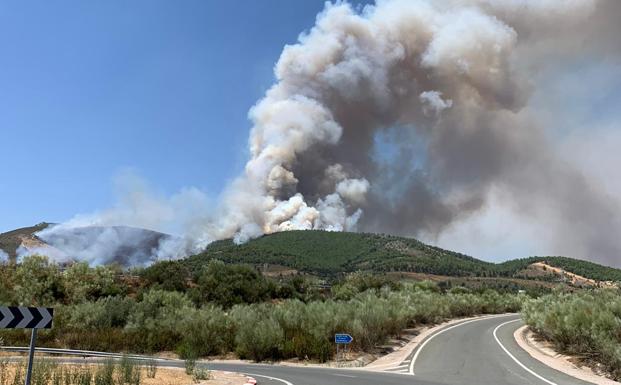 Evoluciona favorablemente el incendio registrado en Cañaveral
