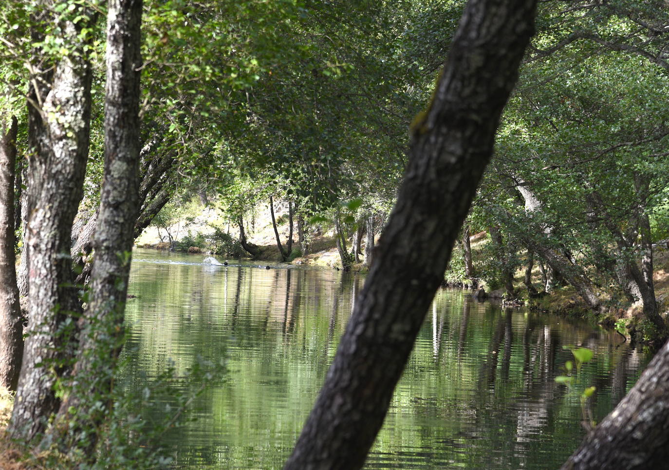 RINCONES CON ENCANTO | La pesquera de Cadalso