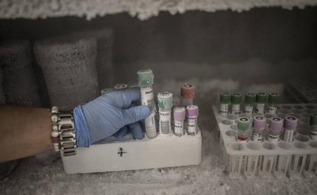 Los 13 brotes de la región tienen 174 casos activos y 662 contactos en seguimiento