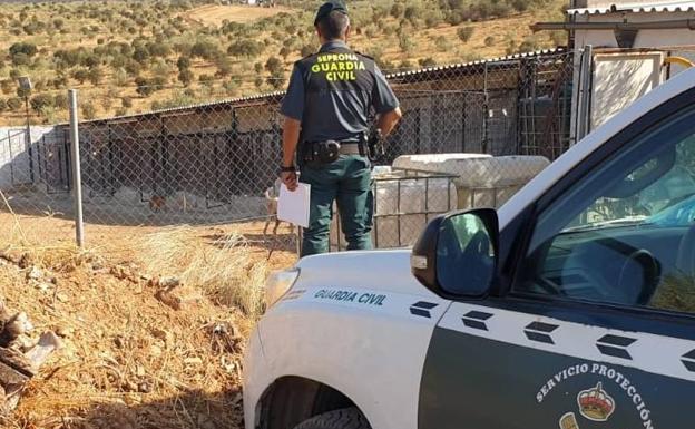 Investigado el propietario y el cuidador de una reala de Puebla de la Reina tras morir una veintena de perros