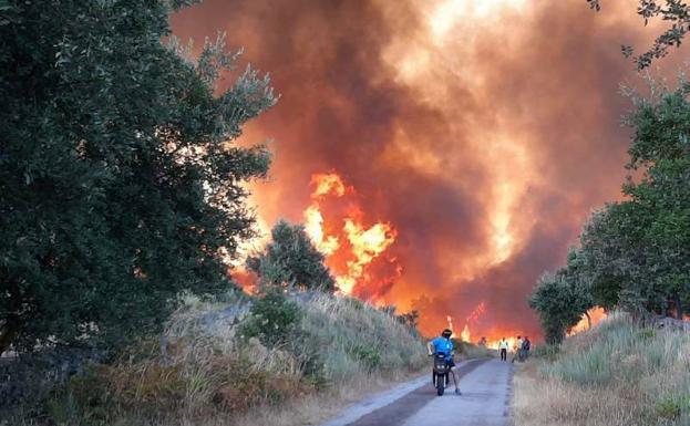 Extinguido el incendio forestal declarado en Salorino y controlado el de Valencia de Alcántara