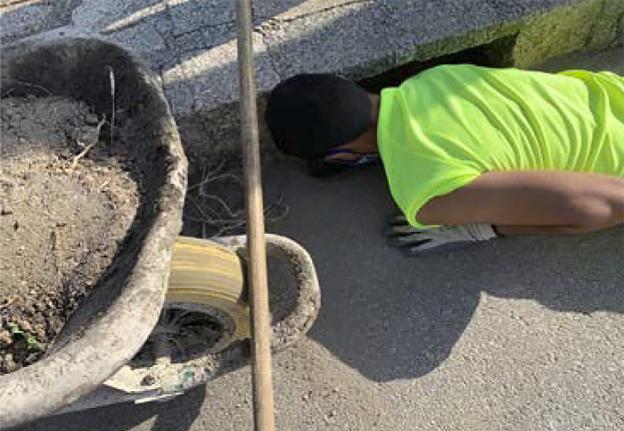 Concluye la Campaña de Empleo Joven Verano 2020