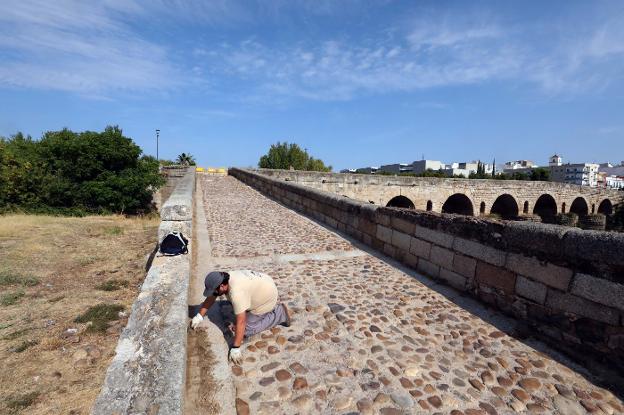 Comienzan las obras para hacer más accesible el descendedero del Puente Romano de Mérida