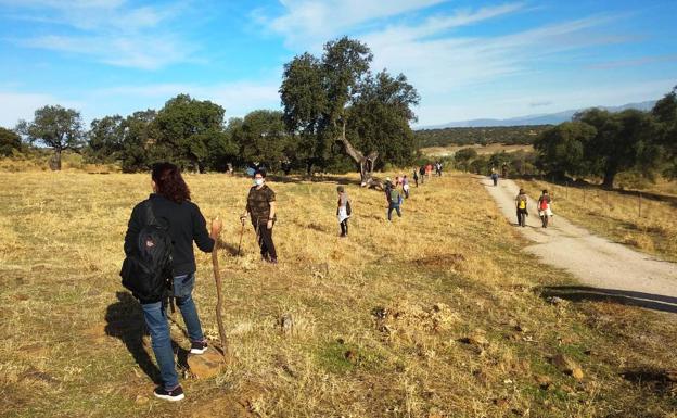 Más de un centenar de personas vuelven a buscar a Rosalía en Bohonal de Ibor