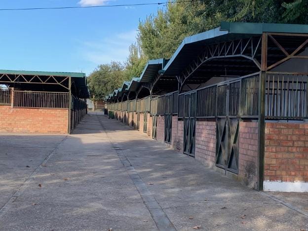 Expositores vacíos donde se muestran caballos en el recinto ferial. / MAGRO