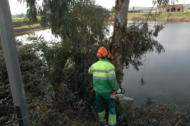 El Ayuntamiento de Navalmoral contratará 43 desempleados durante seis meses