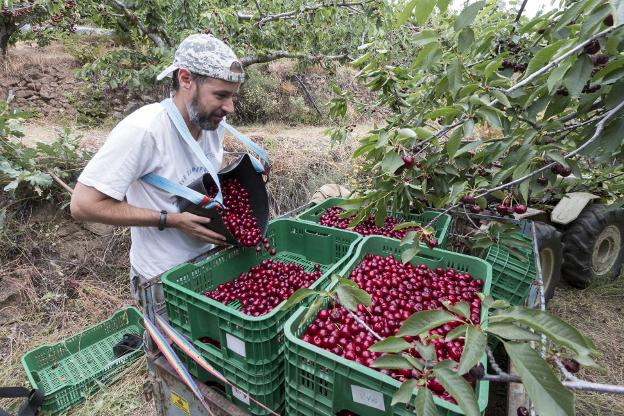 278 jóvenes agricultores reciben ayudas para crear empresas