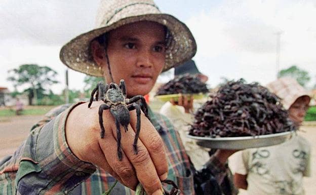 Vendedora de arañas fritas ofrece su mercancía en la localidad camboyana de Skuon/REUTERS