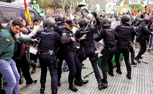 Denunciadas 12 personas por los actos violentos en Feval