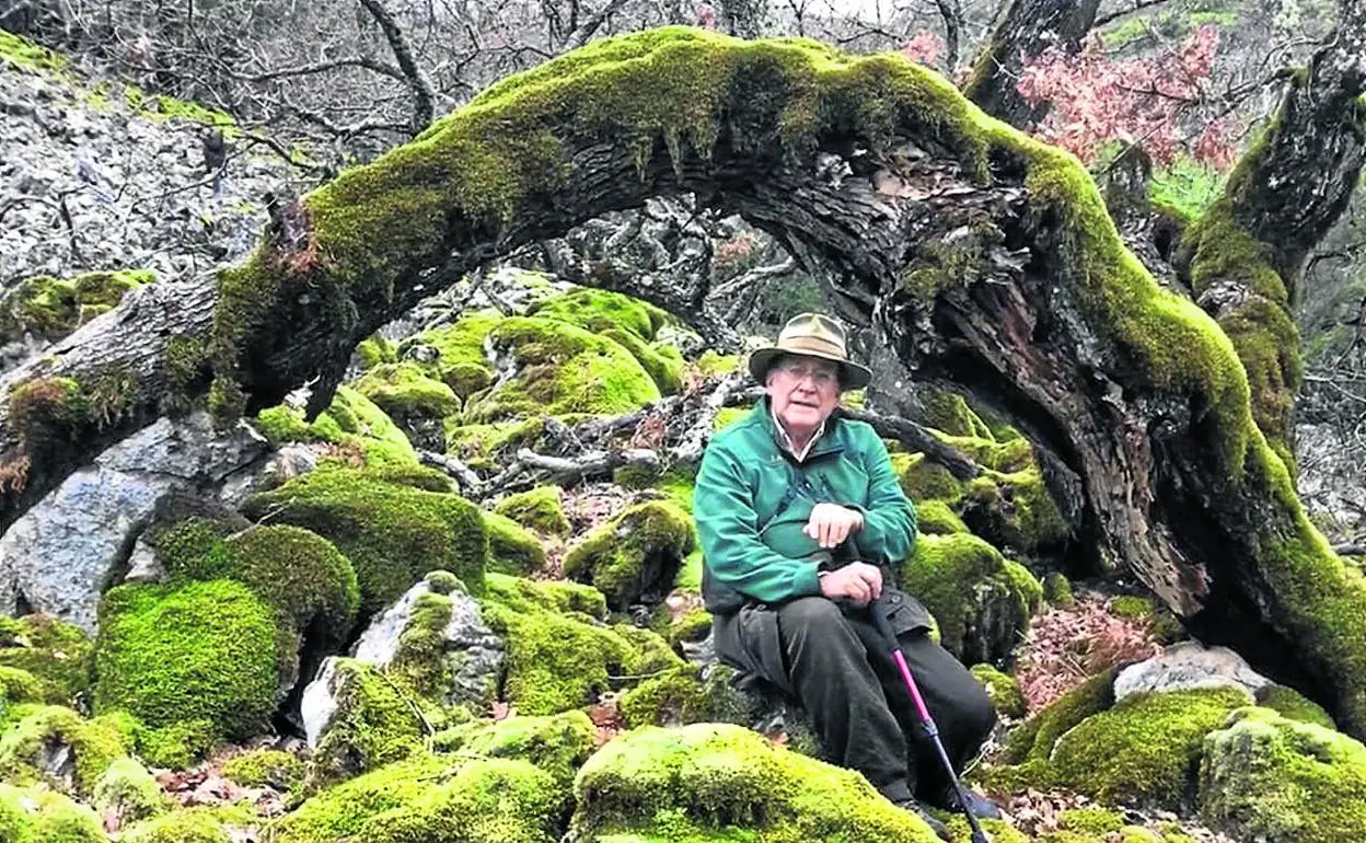 El dios creador de los bosques y los grelos extremeños | Hoy