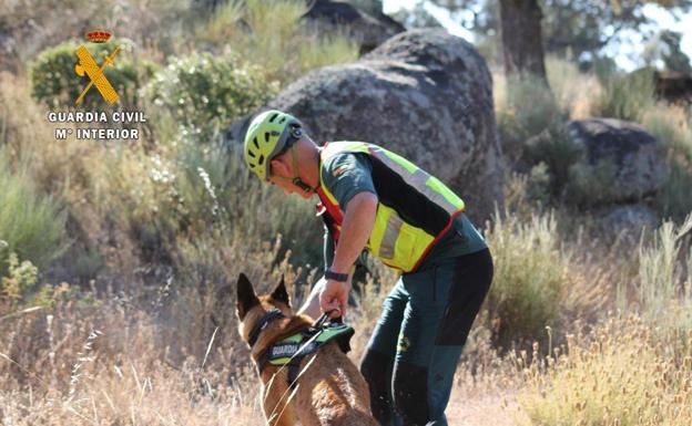 Unos 70 agentes de la Guardia Civil participan en un nuevo dispositivo de búsqueda de Rosalía Cáceres