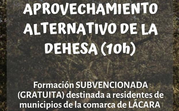 Formación online sobre el aprovechamiento alternativo de la dehesa