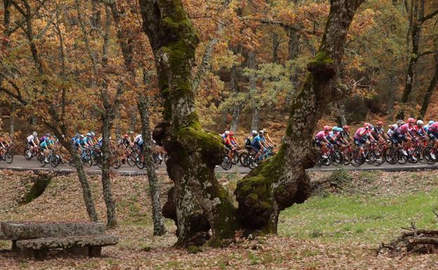 La etapa de la Vuelta, que pasa por Las Hurdes, en directo