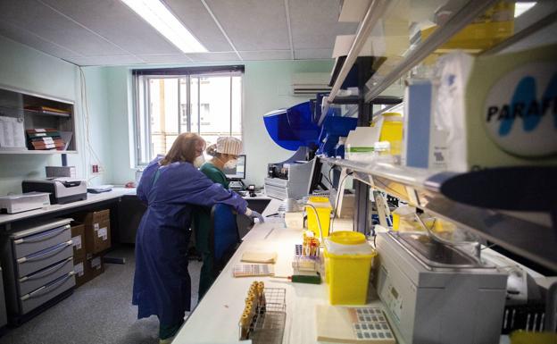 El SES agrupa los casos de Talavera la Real y La Albuera para vigilarlos