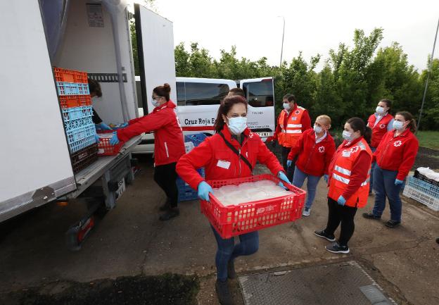 Cruz Roja repartirá más de 8.300 kilos de alimentos entre 70 familias necesitadas de Mérida