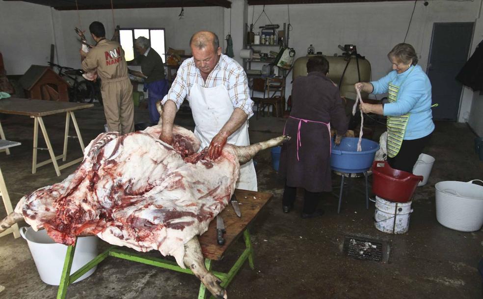 Matanza domiciliaria en la localidad de La Morera, en la comarca de Zafra./J. M. Romero