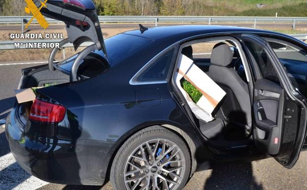 Comete una infracción de circulación y le encuentran mil plantones de marihuana