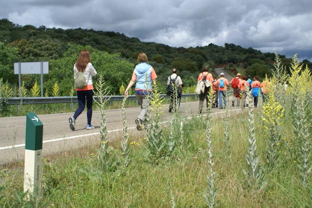 Presupuestan en 535.000 euros la mejora de la carretera de Romangordo