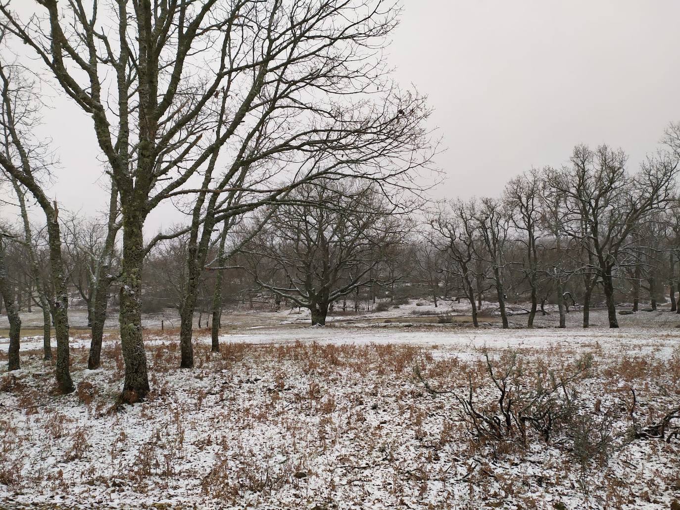Primera nevada del otoño en Extremadura