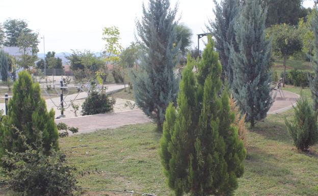 Parques y jardines comenzarán en breve las plantaciónes para 2021