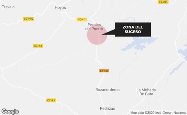Herida grave al colisionar una moto contra un perro cerca de Perales del Puerto