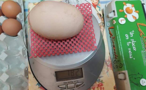 Un huevo de récord en Cabeza del Buey: 182 gramos de peso y 19 centímetros de perímetro