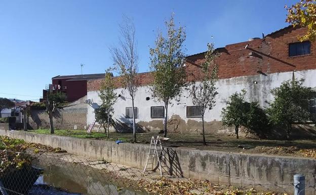 El Ayuntamiento poda y limpia árboles, parques y zonas verdes