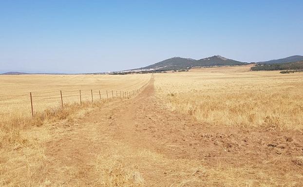 La Junta destina 1,5 millones para construir un aeródromo contra incendios en Mirabel