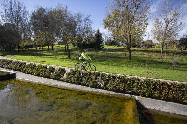 Un usuario en bicicleta cruzando el Parque del Príncipe por el paseo central. / JORGE REY