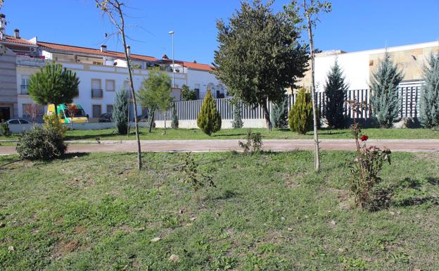 El Ayuntamiento asegura que no pueden atribuir a Juventudes Socialistas el mérito de algo que vienen haciendo desde 2016