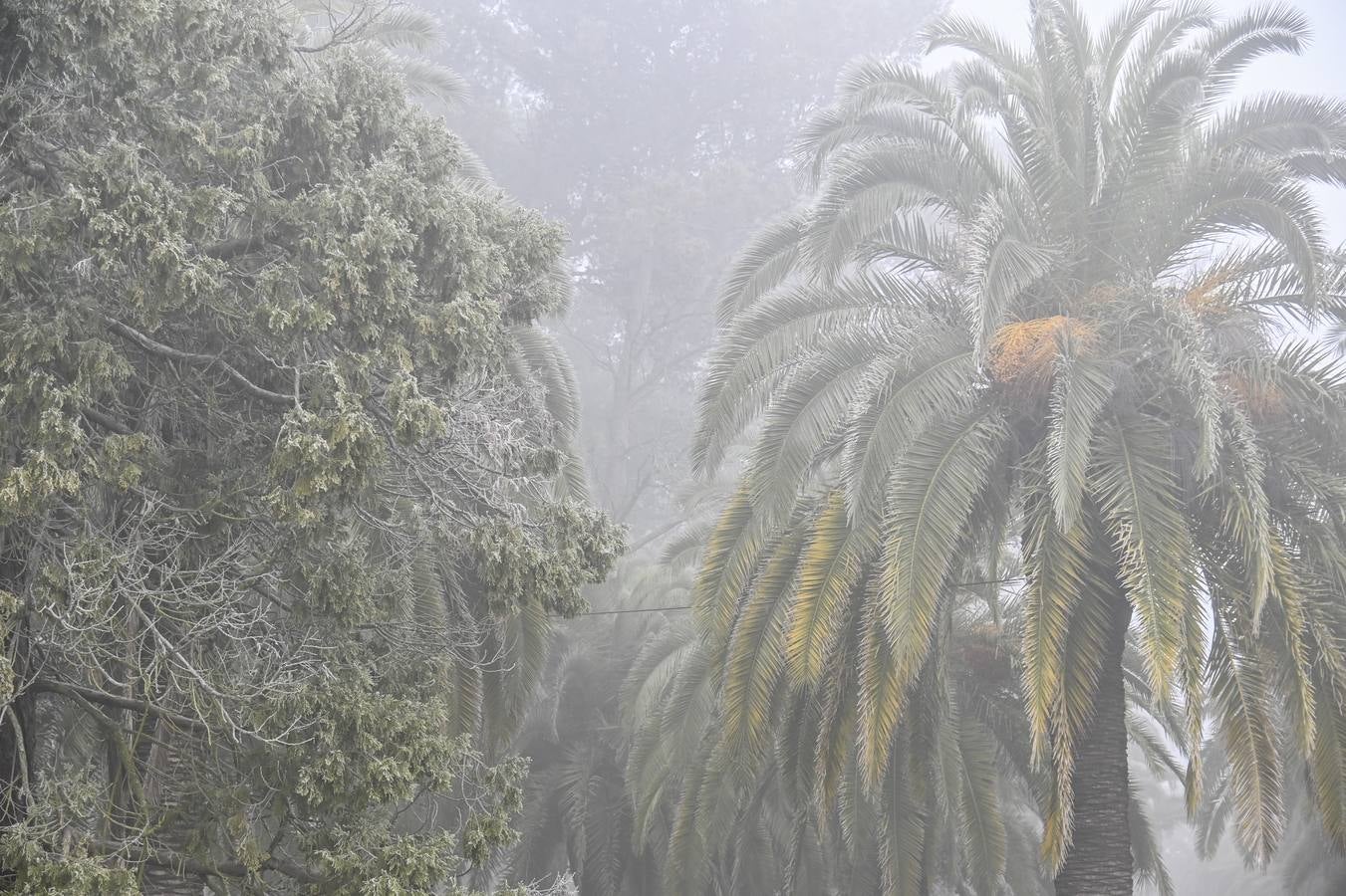 Las bajas temperaturas ofrecen una estampa idílica de Badajoz