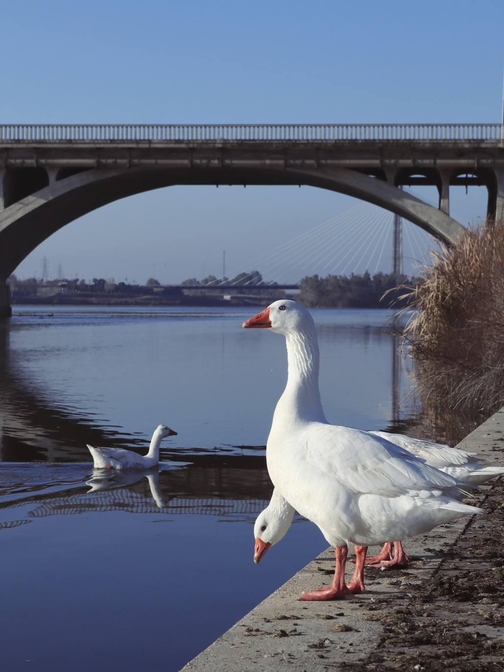 Guadiana, el río que nos une