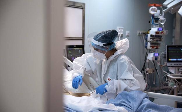 Los casos activos se mantienen en dieciocho