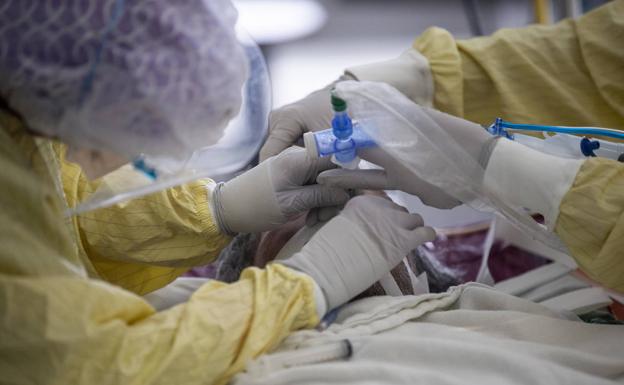 Badajoz y Plasencia son hoy los municipios que más casos comunican