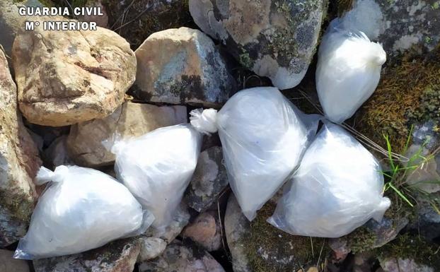 Detenidos dos vecinos de Cabeza del Buey por traficar con cocaína