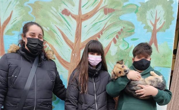 Recal da en adopción 150 perros en 2020 y un 40% se fueron a otros países