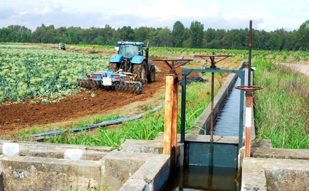 Las lluvias del invierno garantizan una campaña normal en los regadíos de la región